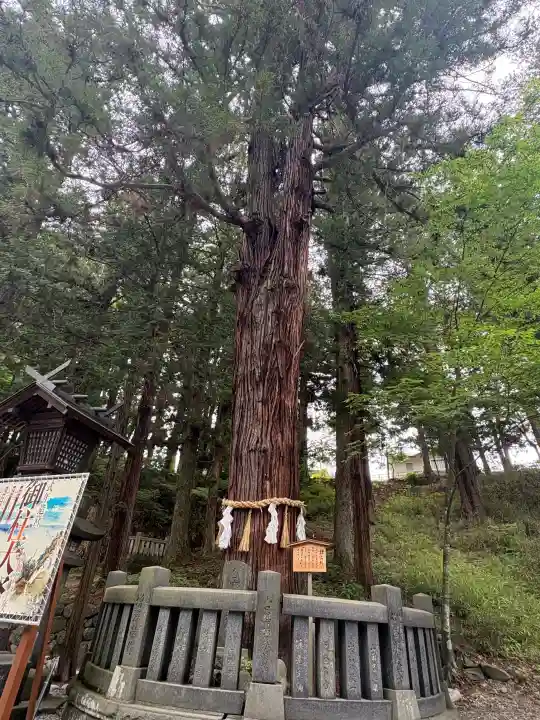諏訪大社下社春宮(長野県)