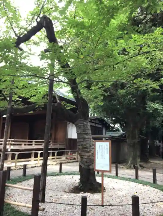 靖國神社の庭園