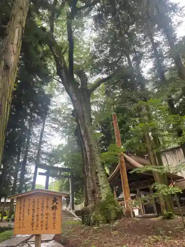 諏訪大社(長野県)