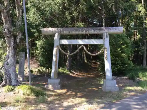 立野神社の鳥居