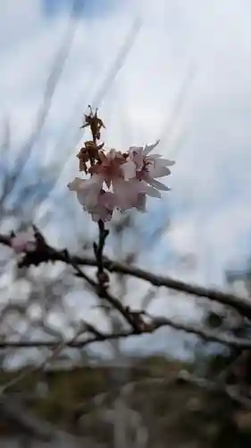 惠心院（恵心院）(京都府)