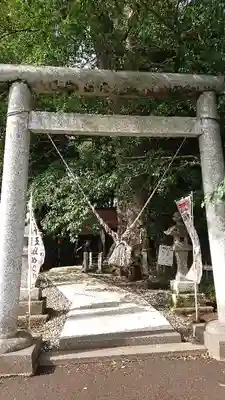 向田神社の鳥居