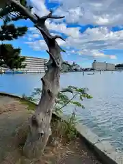 琵琶島神社(神奈川県)