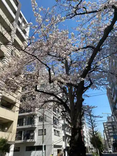 金刀比羅大鷲神社の自然