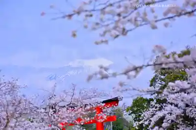 富士山本宮浅間大社(静岡県)