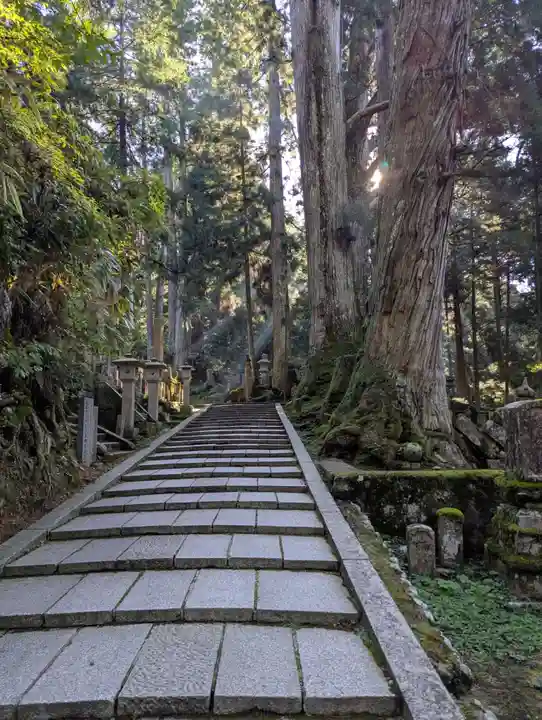 高野山金剛峯寺(和歌山県)