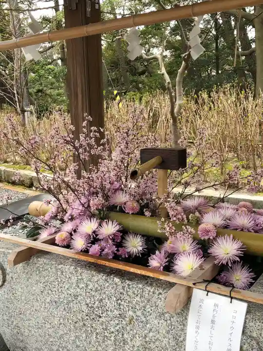 白山神社の手水舎