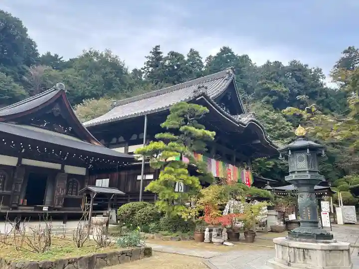 岡寺(龍蓋寺)(奈良県)