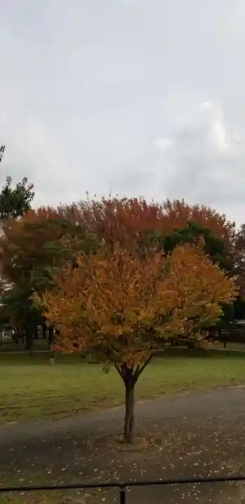 香取神社の自然