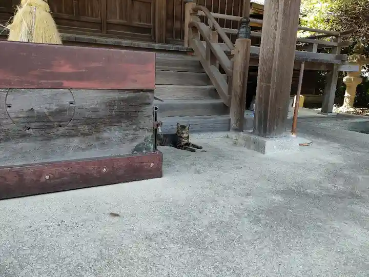 鷹見神社(福岡県)