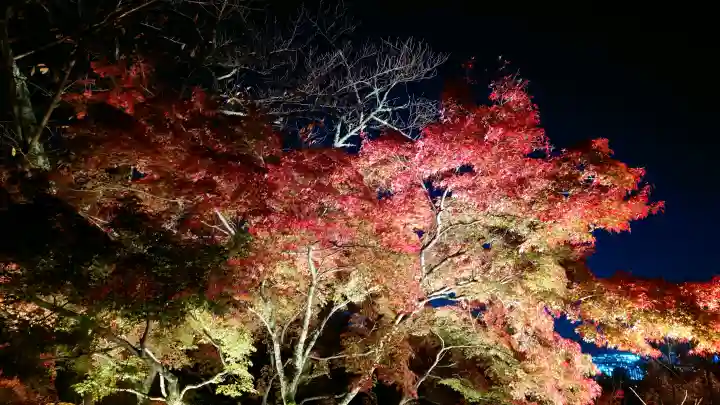 清水寺の{uncategorized: "未分類", other: "その他", undefined: "問題あり", building: "その他建物", grave: "お墓", sacred_gate: "鳥居", guardian: "狛犬", statue: "像", buddha: "仏像", history: "歴史", nature: "自然", garden: "庭園", animal: "動物", pagoda: "塔", temizu: "手水舎", mountain_gate: "山門・神門", sanctuary: "本殿・本堂", subordinate: "末社・摂社", art: "芸術", scenery: "景色", jizo: "地蔵", ema: "絵馬", goshuin: "御朱印", omikuji: "おみくじ", items: "授与品その他", amulet: "お守り", goshuincho: "御朱印帳", eats: "食事", festival: "お祭り", votive_dance: "神楽", shichigosan: "七五三参", wedding: "結婚式", experience: "体験その他", initially: "初詣", around: "周辺", anti_infection: "感染症対策"}