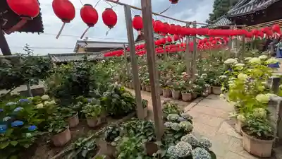 おふさ観音（観音寺）(奈良県)