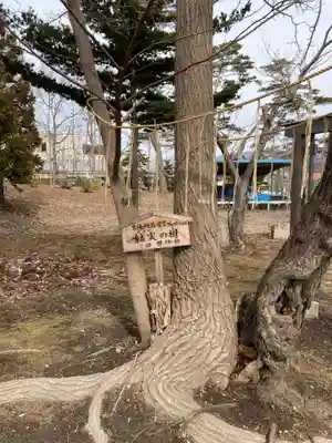 壮瞥神社(北海道)
