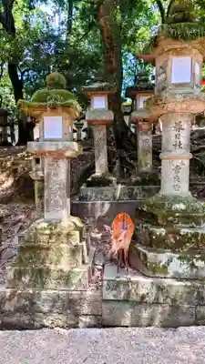 春日大社(奈良県)