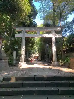 代々木八幡宮の鳥居