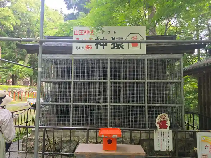 日吉大社(滋賀県)