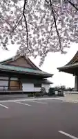政淳寺の本殿・本堂
