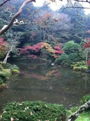 成田山新勝寺の自然