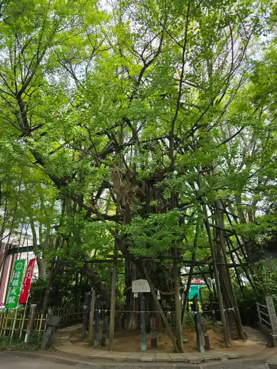 稲毛神社(神奈川県)