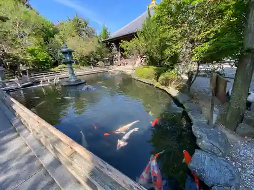霊山寺(徳島県)