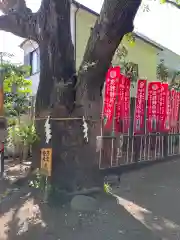 笠䅣稲荷神社(神奈川県)