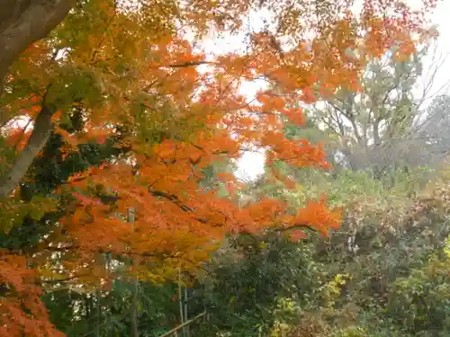 永福寺跡（永福寺址）の自然