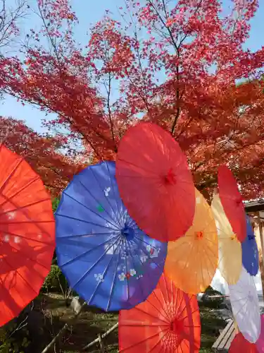 宝徳寺の景色