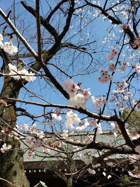 靖國神社(東京都)