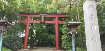根津神社の鳥居
