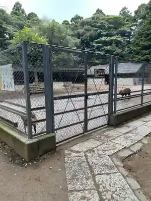 鹿島神宮(茨城県)