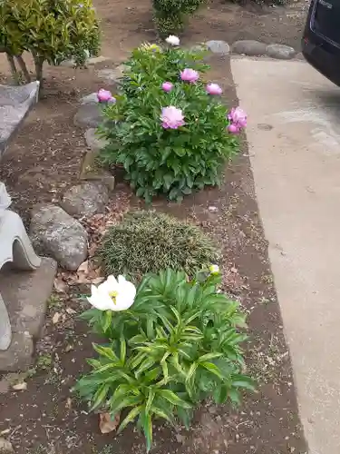 伏木香取神社の庭園