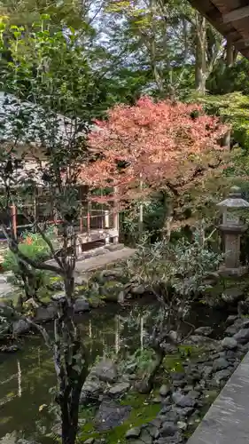 高山寺(京都府)