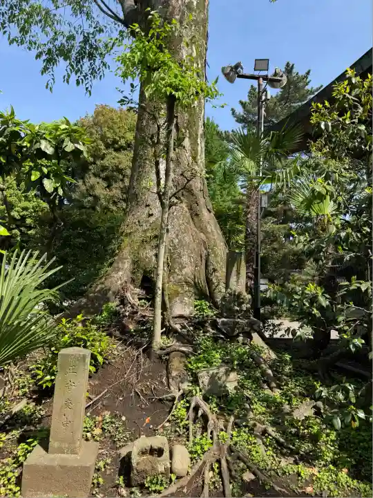 井草八幡宮(東京都)