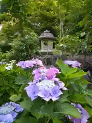 柳谷観音　楊谷寺(京都府)