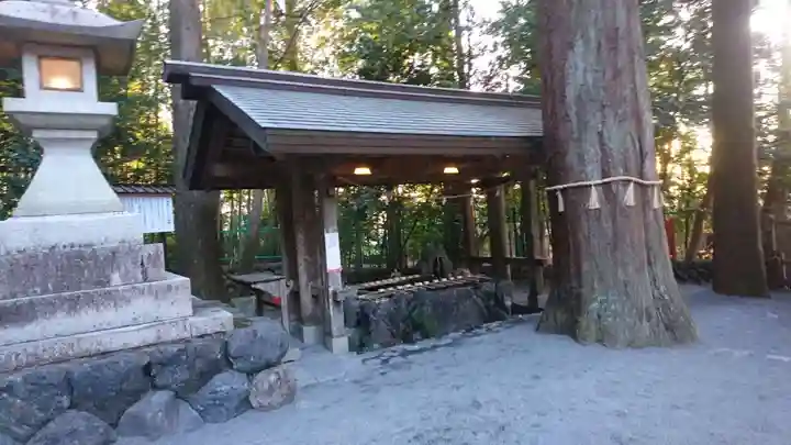 椿大神社の手水舎