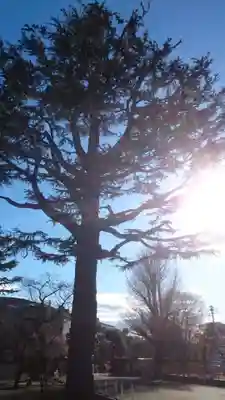 寛永寺(根本中堂)(東京都)