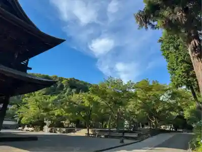 円覚寺(神奈川県)