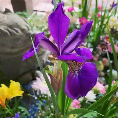 滑川神社 - 仕事と子どもの守り神の手水舎