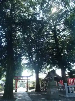 本宿天神社のその他建物