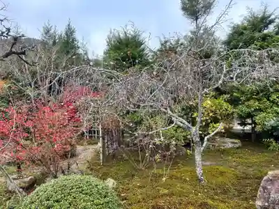 実光院(京都府)