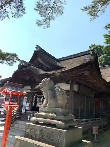 白鬚神社の狛犬