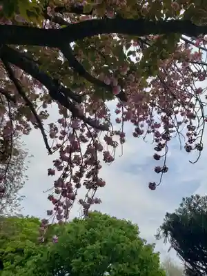 東光寺(東京都)