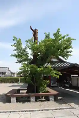 浄照寺(奈良県)