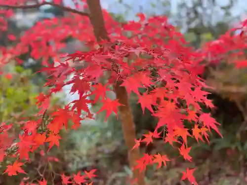善水寺(滋賀県)