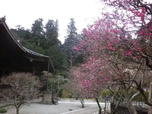 妙本寺の庭園