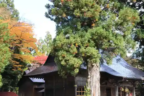 高司神社〜むすびの神の鎮まる社〜のその他建物