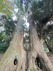 日吉神社(千葉県)