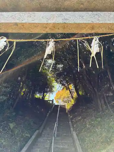 弟橘比賣神社(茨城県)