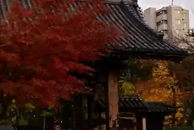 増上寺(東京都)