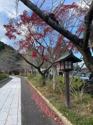 高麗神社(埼玉県)